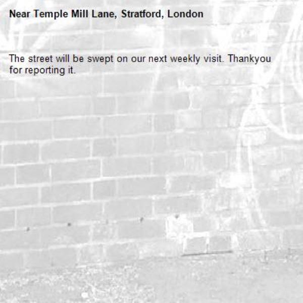 The street will be swept on our next weekly visit. Thankyou for reporting it.-Temple Mill Lane, Stratford, London