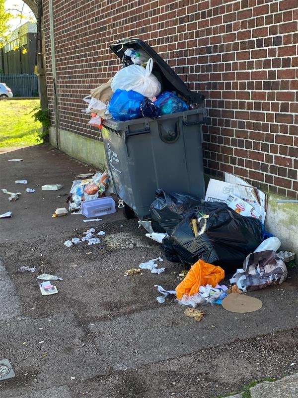 This eyesore has been there for over two weeks. WHY
Unfortunately the NEWHAM HAS BE COME 1 BIG GIANTS DUST BIN-15 Surrey Street, Plaistow, London, E13 8RN