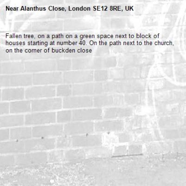 Fallen tree, on a path on a green space next to block of houses starting at number 40. On the path next to the church, on the corner of buckden close -Alanthus Close, London SE12 8RE, UK