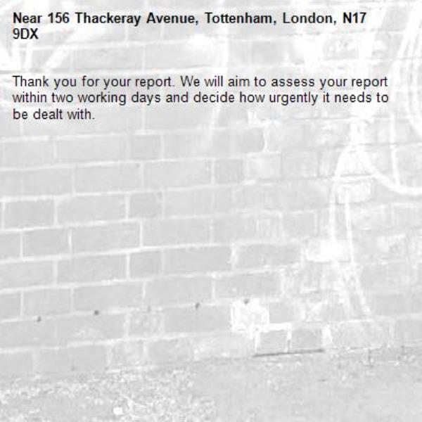 Thank you for your report. We will aim to assess your report within two working days and decide how urgently it needs to be dealt with.-156 Thackeray Avenue, Tottenham, London, N17 9DX