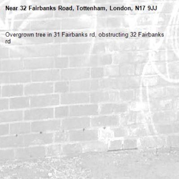 Overgrown tree in 31 Fairbanks rd, obstructing 32 Fairbanks rd-32 Fairbanks Road, Tottenham, London, N17 9JJ