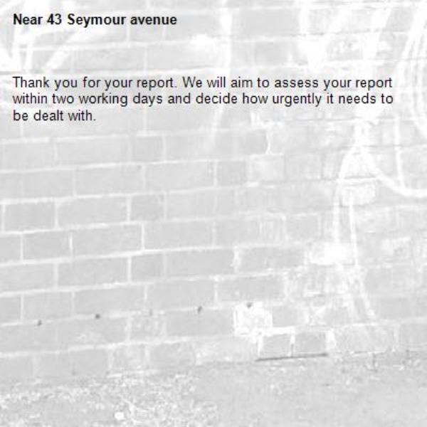 Thank you for your report. We will aim to assess your report within two working days and decide how urgently it needs to be dealt with.-43 Seymour avenue