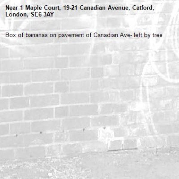 Box of bananas on pavement of Canadian Ave- left by tree-1 Maple Court, 19-21 Canadian Avenue, Catford, London, SE6 3AY