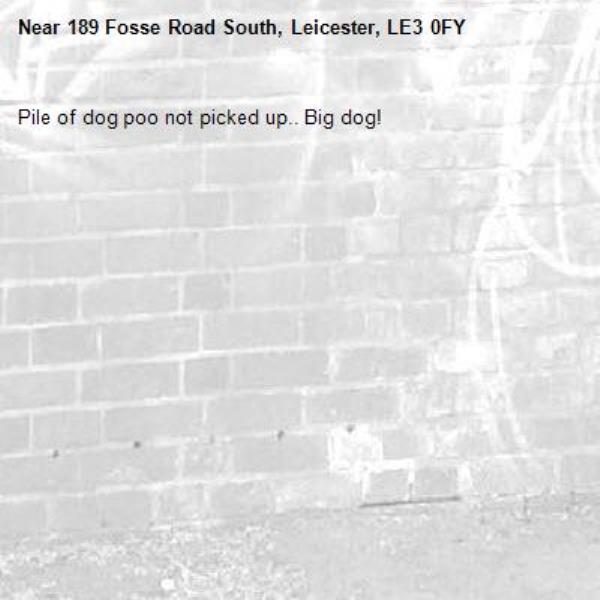Pile of dog poo not picked up.. Big dog! -189 Fosse Road South, Leicester, LE3 0FY