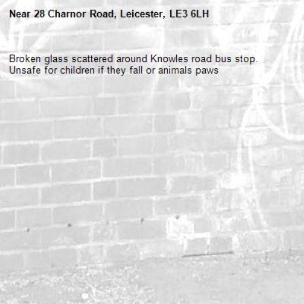 Broken glass scattered around Knowles road bus stop. Unsafe for children if they fall or animals paws -28 Charnor Road, Leicester, LE3 6LH