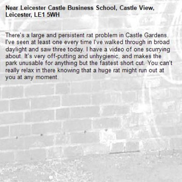 There's a large and persistent rat problem in Castle Gardens. I've seen at least one every time I've walked through in broad daylight and saw three today. I have a video of one scurrying about. It's very off-putting and unhygienic, and makes the park unusable for anything but the fastest short cut. You can't really relax in there knowing that a huge rat might run out at you at any moment. -Leicester Castle Business School, Castle View, Leicester, LE1 5WH