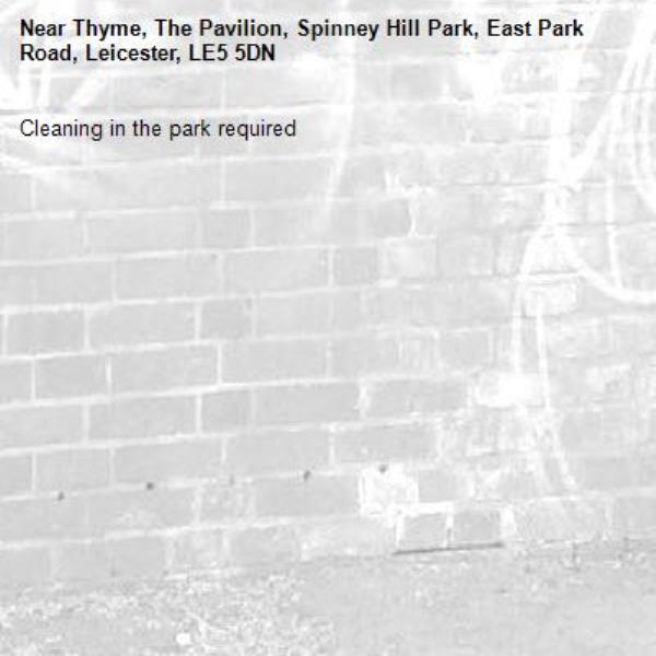 Cleaning in the park required-Thyme, The Pavilion, Spinney Hill Park, East Park Road, Leicester, LE5 5DN