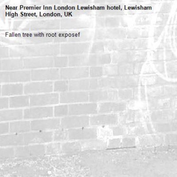 Fallen tree with root exposef-Premier Inn London Lewisham hotel, Lewisham High Street, London, UK