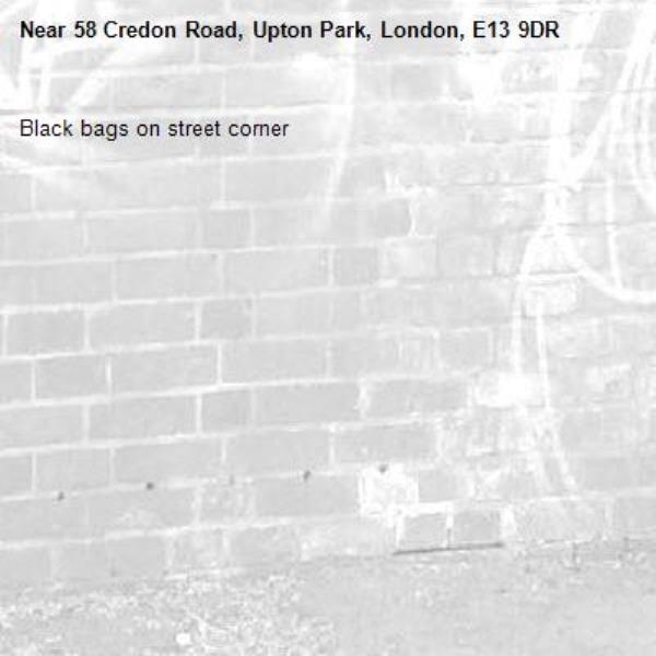 Black bags on street corner-58 Credon Road, Upton Park, London, E13 9DR