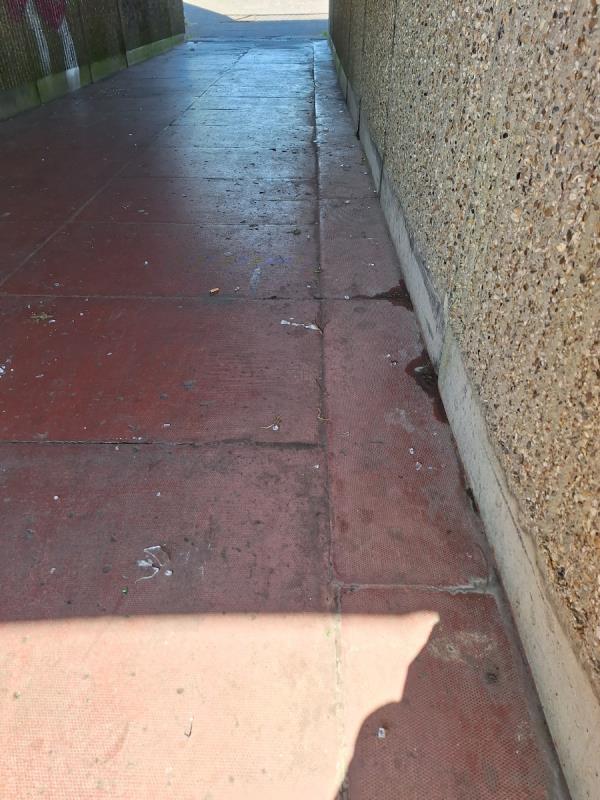 Broken glass in underpath and just as you enter it-Coastline Leisure Sovereign Centre, Royal Parade, Eastbourne, BN22 7LQ