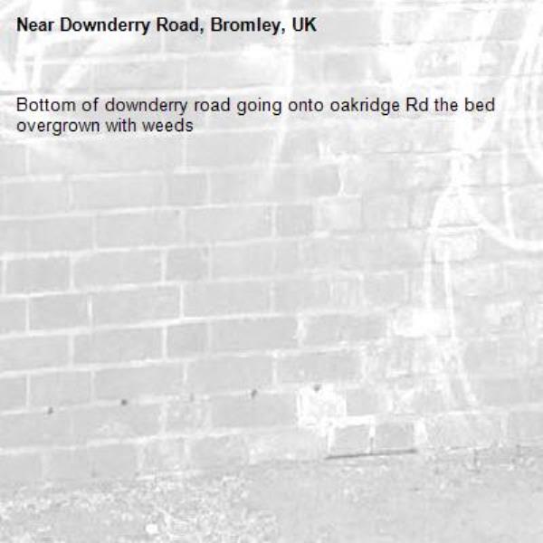 Bottom of downderry road going onto oakridge Rd the bed overgrown with weeds -Downderry Road, Bromley, UK
