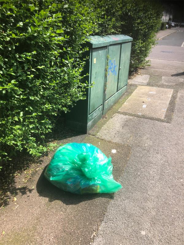 Alleyway to Persant Riad. Please clear a flytip green bag-27 Boundfield Road, London, SE6 1PR