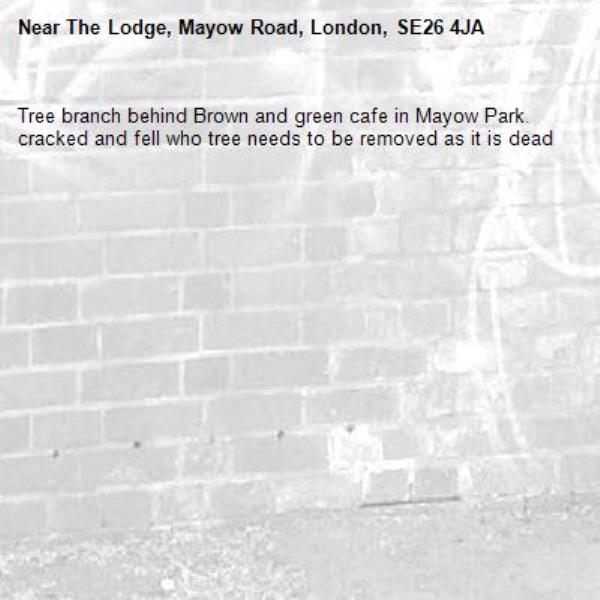 Tree branch behind Brown and green cafe in Mayow Park. cracked and fell who tree needs to be removed as it is dead-The Lodge, Mayow Road, London, SE26 4JA