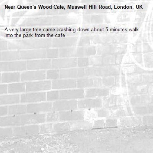 A very large tree came crashing down about 5 minutes walk into the park from the cafe -Queen&#39;s Wood Cafe, Muswell Hill Road, London, UK