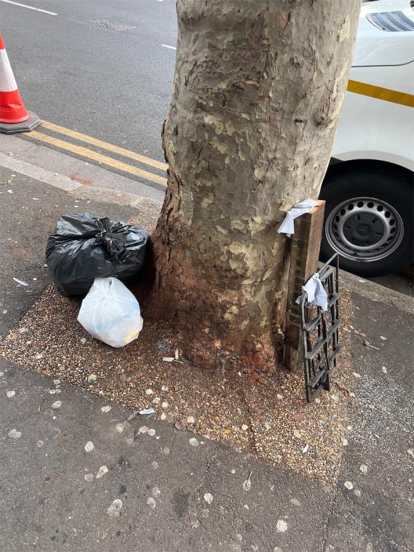 Litter on the pavement-375A, Katherine Road, Forest Gate, London, E7 8LT