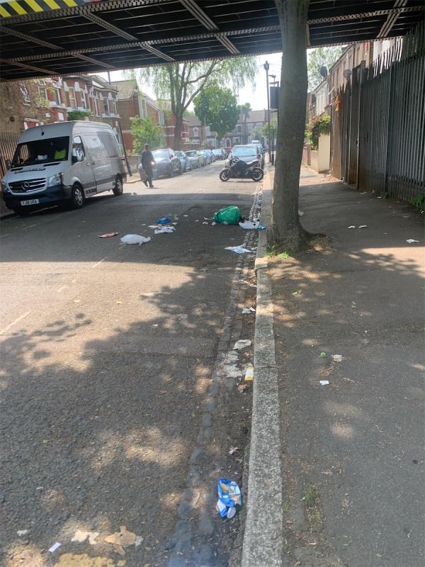 Bags dumped in usual spot under bridge. Foxes split bags. Litter everywhere. As usual. -12A, Cranmer Road, Forest Gate, London, E7 0JW