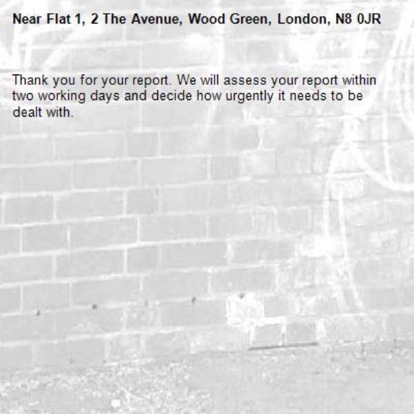 Thank you for your report. We will assess your report within two working days and decide how urgently it needs to be dealt with.-Flat 1, 2 The Avenue, Wood Green, London, N8 0JR