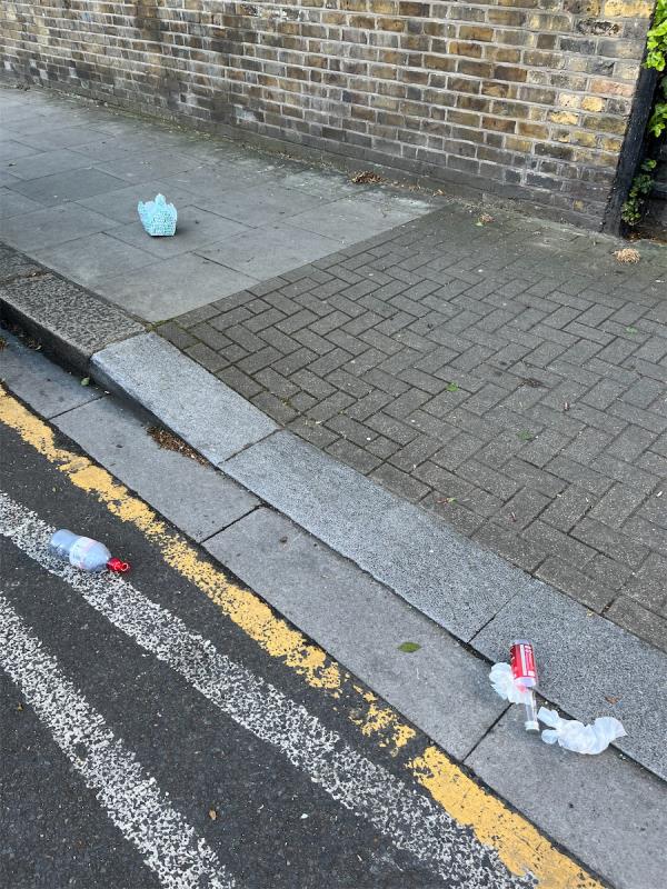 Litter to be cleaned. -34 St Martins Avenue, East Ham, London, E6 3DX