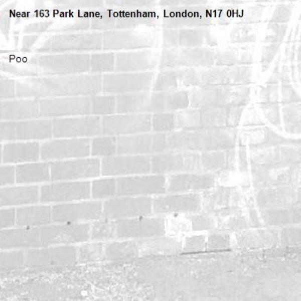 Poo-163 Park Lane, Tottenham, London, N17 0HJ