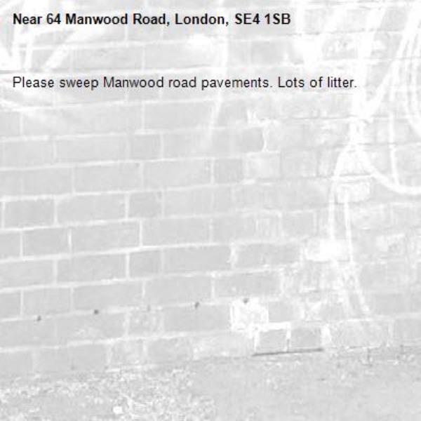 Please sweep Manwood road pavements. Lots of litter. -64 Manwood Road, London, SE4 1SB