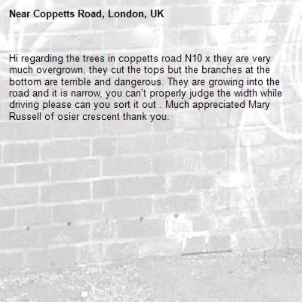 Hi regarding the trees in coppetts road N10 x they are very much overgrown, they cut the tops but the branches at the bottom are terrible and dangerous. They are growing into the road and it is narrow, you can’t properly judge the width while driving please can you sort it out . Much appreciated Mary Russell of osier crescent thank you.-Coppetts Road, London, UK