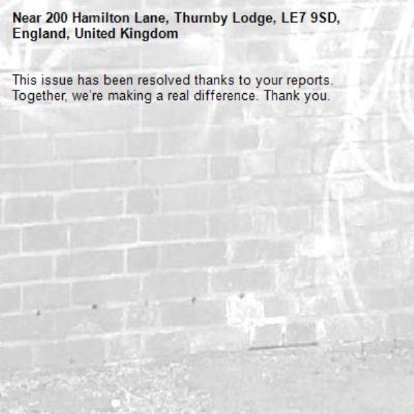 This issue has been resolved thanks to your reports.
Together, we’re making a real difference. Thank you.
-200 Hamilton Lane, Thurnby Lodge, LE7 9SD, England, United Kingdom