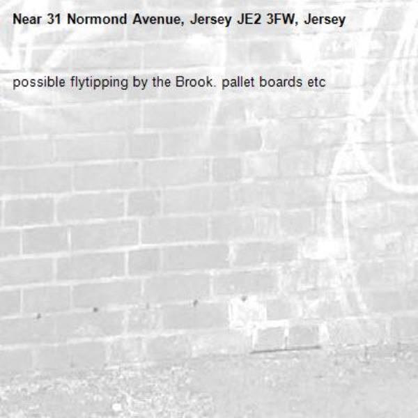 possible flytipping by the Brook. pallet boards etc-31 Normond Avenue, Jersey JE2 3FW, Jersey