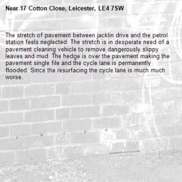The stretch of pavement between jacklin drive and the petrol  station feels neglected. The stretch is in desperate need of a pavement cleaning vehicle to remove dangerously slippy leaves and mud. The hedge is over the pavement making the pavement single file and the cycle lane is permanently flooded. Since the resurfacing the cycle lane is much much worse. -17 Cotton Close, Leicester, LE4 7SW