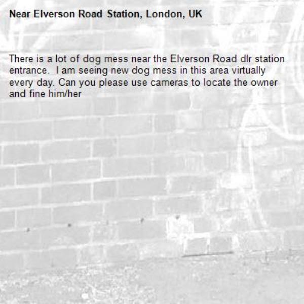 There is a lot of dog mess near the Elverson Road dlr station entrance.  I am seeing new dog mess in this area virtually every day. Can you please use cameras to locate the owner and fine him/her-Elverson Road Station, London, UK