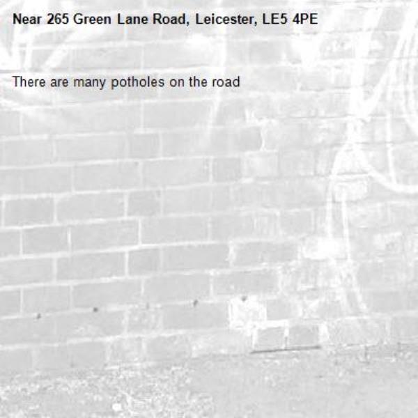 There are many potholes on the road-265 Green Lane Road, Leicester, LE5 4PE