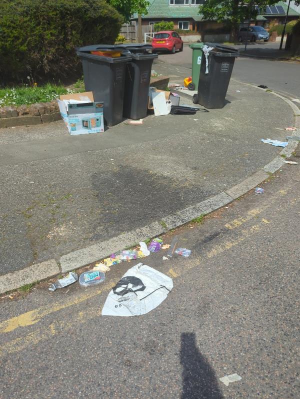 These wheelie bins are never returned to properties on The woodlands.  This is the result-2 The Woodlands, Hither Green, London, SE13 6TY