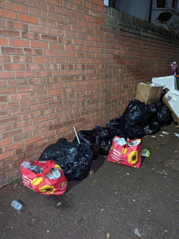 10 black bags, 2 red bags - one looks full of bottles, so could be recycled and some cardboard and polystyrene packaging.-82 Macaulay Road, East Ham, London, E6 3BL