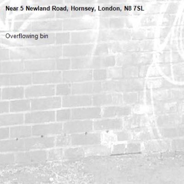 Overflowing bin -5 Newland Road, Hornsey, London, N8 7SL