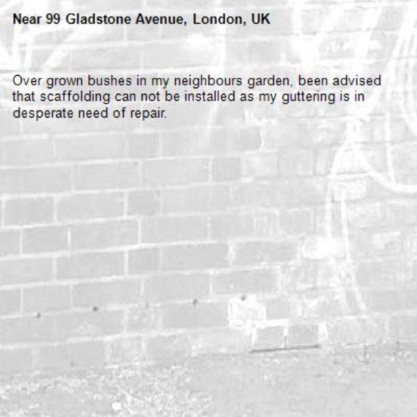Over grown bushes in my neighbours garden, been advised that scaffolding can not be installed as my guttering is in desperate need of repair. -99 Gladstone Avenue, London, UK