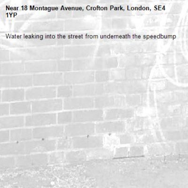 Water leaking into the street from underneath the speedbump -18 Montague Avenue, Crofton Park, London, SE4 1YP