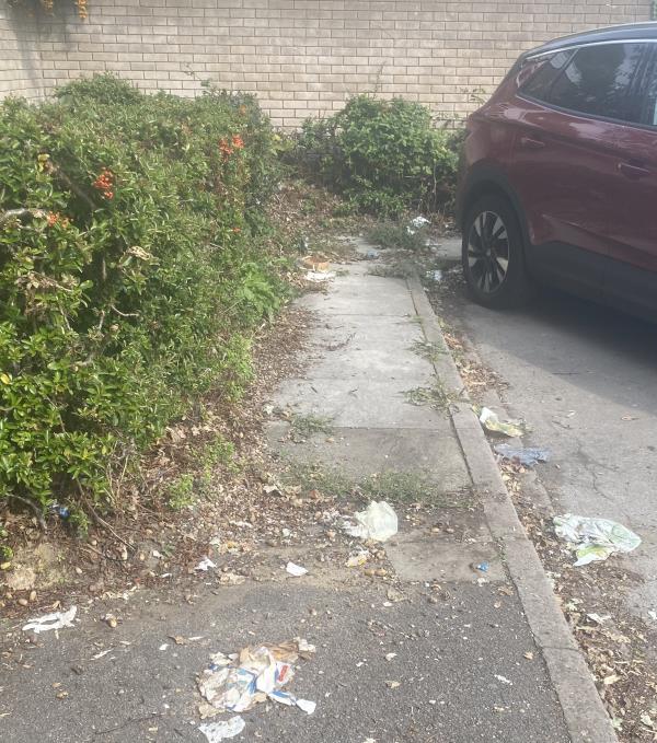 revious report job number:3083434<br/>Report states closed as obviously cleared of rubbish by street cleaners. Either your street cleaners are bad sighted or they are saying they have cleared to you but not actually completed the job. Car park area -61 Caswell Close 
