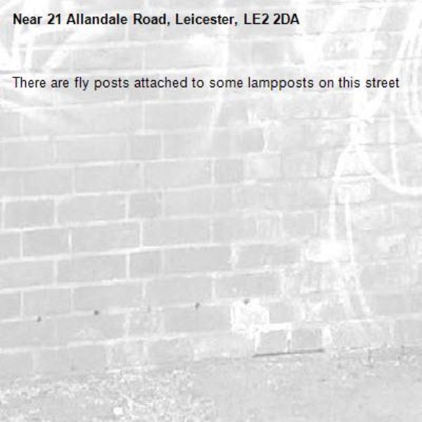 There are fly posts attached to some lampposts on this street -21 Allandale Road, Leicester, LE2 2DA