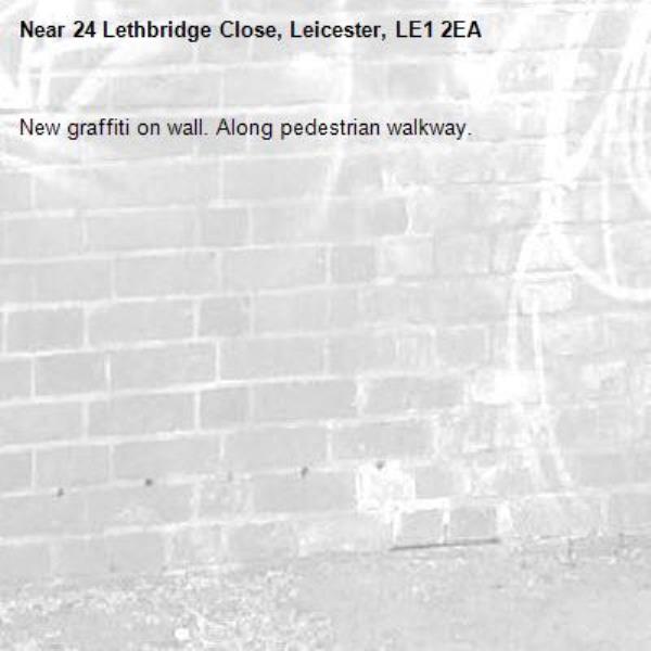 New graffiti on wall. Along pedestrian walkway. -24 Lethbridge Close, Leicester, LE1 2EA
