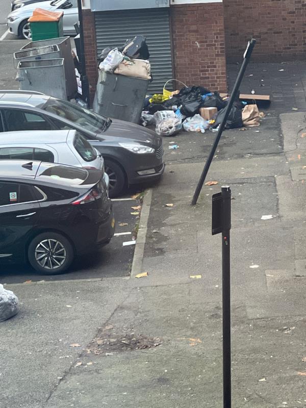 The silvers bins are in terrible condition- over 7 years old and now the wheels have come off one of the bins and the bin collections have refused to empty -33 Mona Street, Canning Town North, E16 1HH, England, United Kingdom