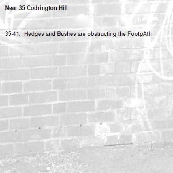 35-41.  Hedges and Bushes are obstructing the FootpAth-35 Codrington Hill