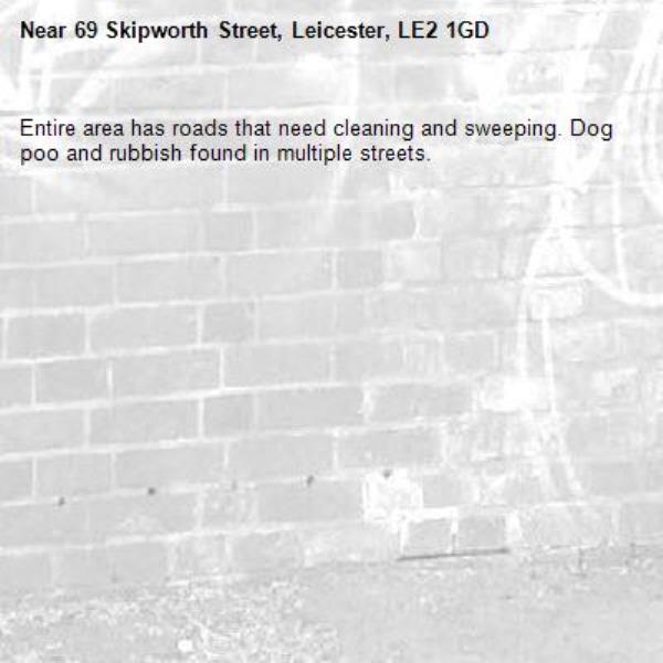 Entire area has roads that need cleaning and sweeping. Dog poo and rubbish found in multiple streets.-69 Skipworth Street, Leicester, LE2 1GD