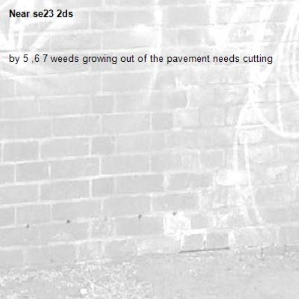 by 5 ,6 7 weeds growing out of the pavement needs cutting-se23 2ds