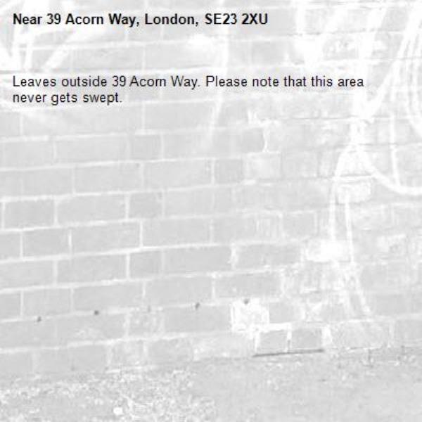 Leaves outside 39 Acorn Way. Please note that this area never gets swept. -39 Acorn Way, London, SE23 2XU