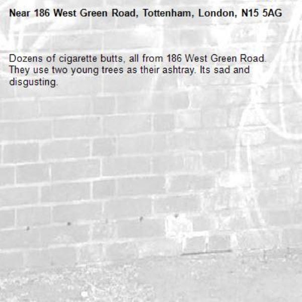 Dozens of cigarette butts, all from 186 West Green Road. They use two young trees as their ashtray. Its sad and disgusting.-186 West Green Road, Tottenham, London, N15 5AG
