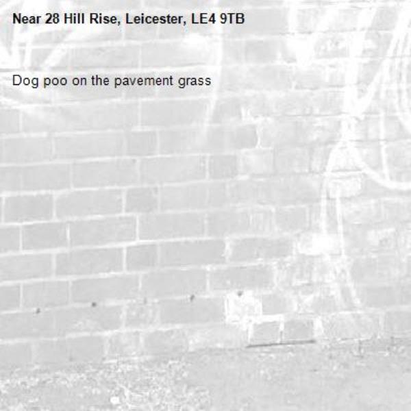Dog poo on the pavement grass-28 Hill Rise, Leicester, LE4 9TB