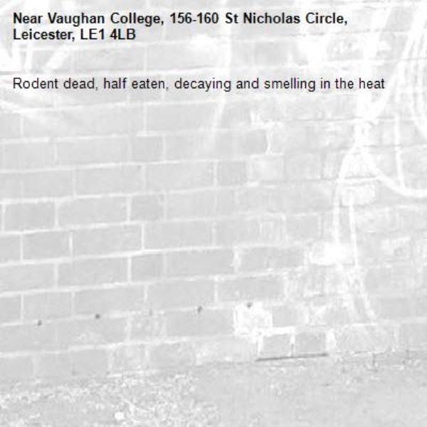 Rodent dead, half eaten, decaying and smelling in the heat-Vaughan College, 156-160 St Nicholas Circle, Leicester, LE1 4LB