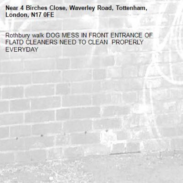 Rothbury walk DOG MESS IN FRONT ENTRANCE OF FLATD CLEANERS NEED TO CLEAN  PROPERLY EVERYDAY-4 Birches Close, Waverley Road, Tottenham, London, N17 0FE