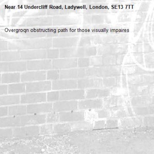 Overgroqn obstructing path for those visually impaires-14 Undercliff Road, Ladywell, London, SE13 7TT