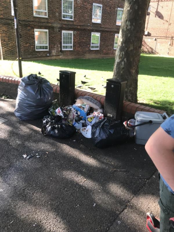 Bin bags left out for foxes to rip up! -1 Hemsby House Rocastle Road, Brockley, SE4 2QS