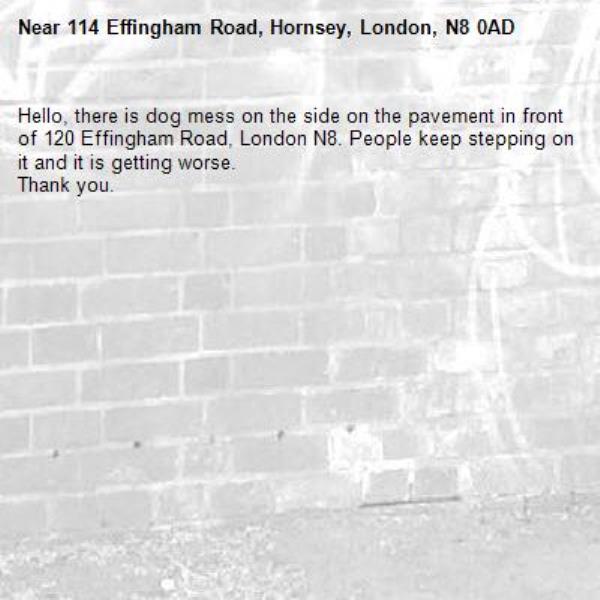 Hello, there is dog mess on the side on the pavement in front of 120 Effingham Road, London N8. People keep stepping on it and it is getting worse.
Thank you.-114 Effingham Road, Hornsey, London, N8 0AD
